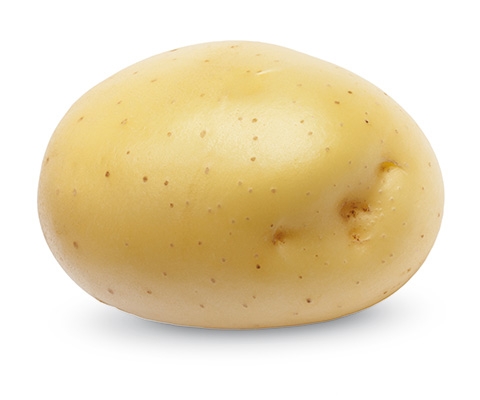 Primabelle