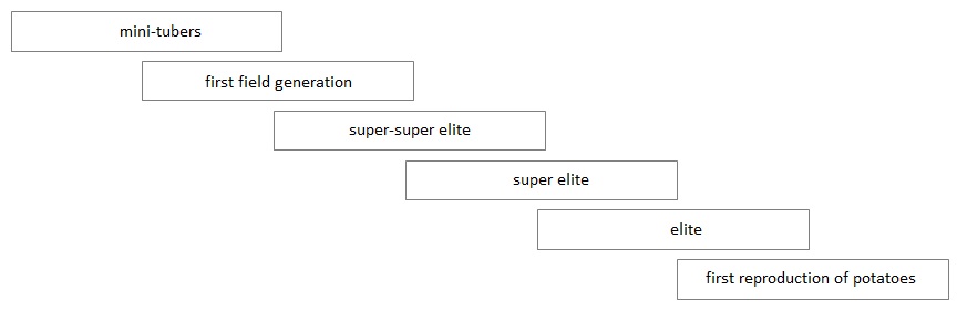 graph.jpg graph.jpg