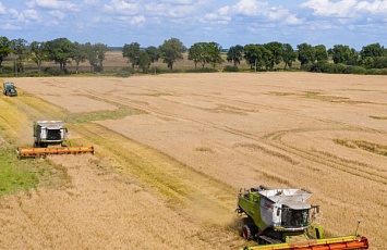 Barley Harvesting